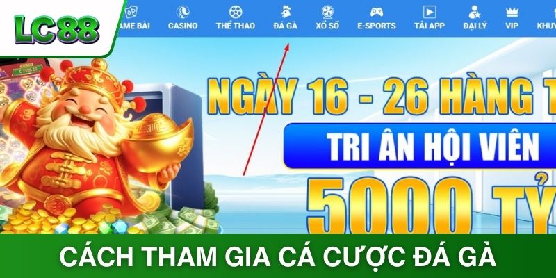 Cách tham gia cá cược đá gà trực tuyến LC88 đơn giản